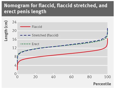 average flaccid length